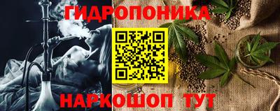 бошки Гатчина