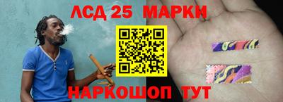 бошки Гатчина