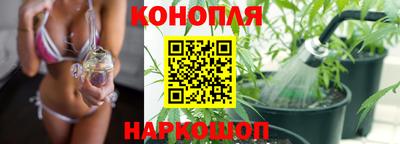 бошки Гатчина