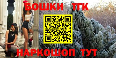 бошки Гатчина