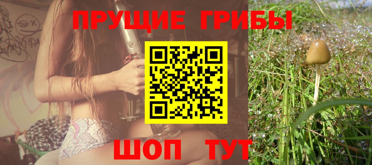 Псилоцибиновые грибы прущие грибы Можга