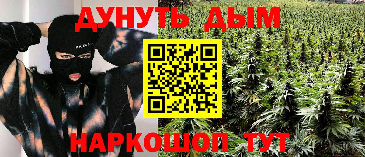 Конопля план Можга