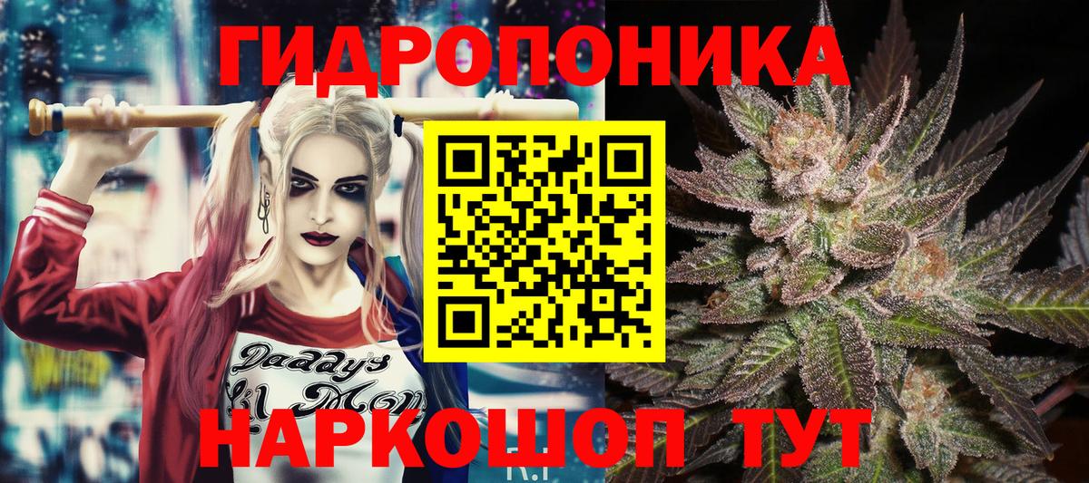 Можга  Бошки марихуана Bruce Banner  Вход с VPN  Марихуана OG Kush 